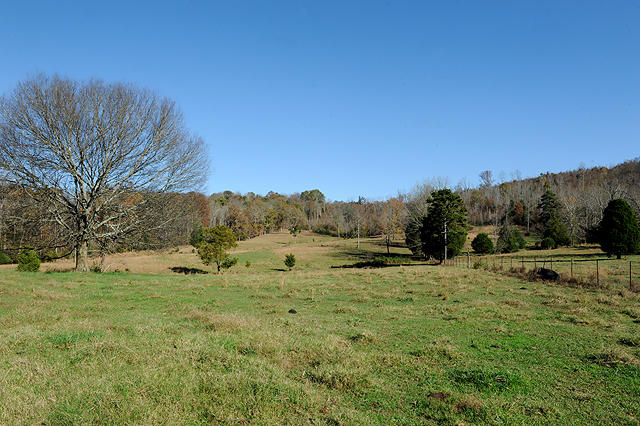 3920 Cottonport Road Decatur, TN 37322 - Photo 36 of 56 DSC_3245