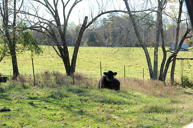 3920 Cottonport Road Decatur, TN 37322 - Photo 37 of 56 DSC_3247