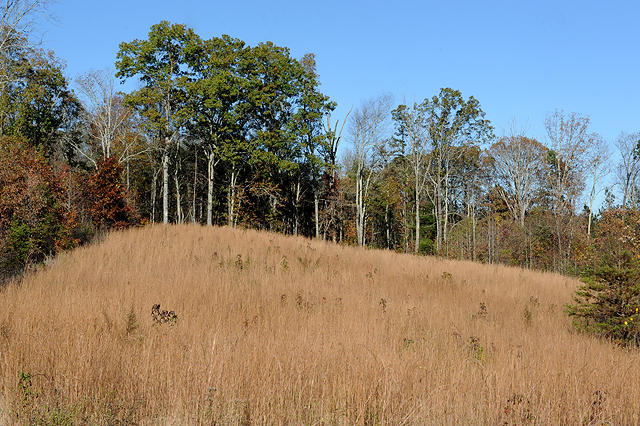 3920 Cottonport Road Decatur, TN 37322 - Photo 39 of 56 DSC_3253
