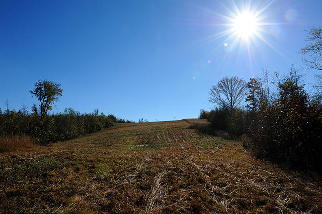 3920 Cottonport Road Decatur, TN 37322 - Photo 40 of 56 DSC_3256