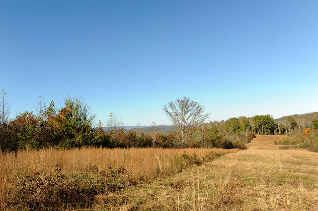 3920 Cottonport Road Decatur, TN 37322 - Photo 41 of 56 DSC_3258