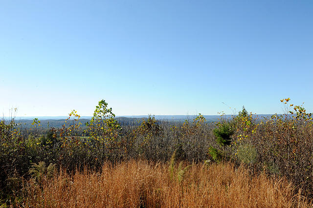 3920 Cottonport Road Decatur, TN 37322 - Photo 42 of 56 DSC_3265