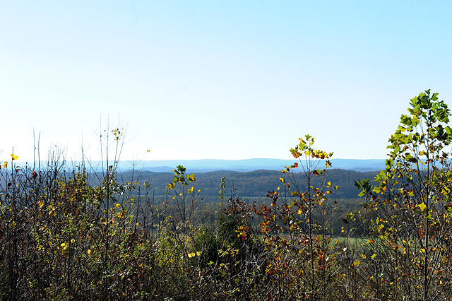 3920 Cottonport Road Decatur, TN 37322 - Photo 43 of 56 DSC_3266