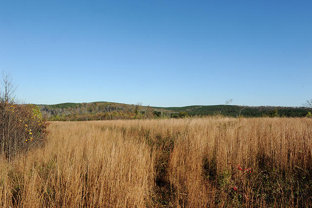 3920 Cottonport Road Decatur, TN 37322 - Photo 44 of 56 DSC_3270