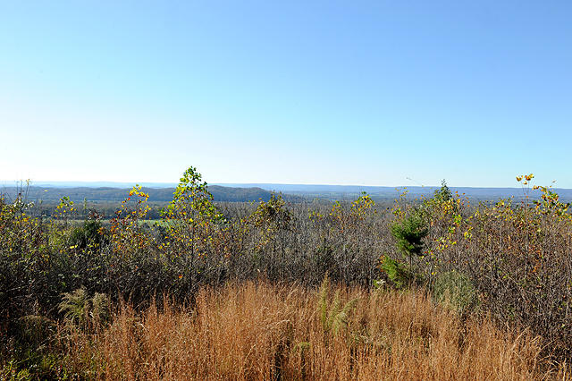 3920 Cottonport Road Decatur, TN 37322 - Photo 45 of 56 DSC_3277