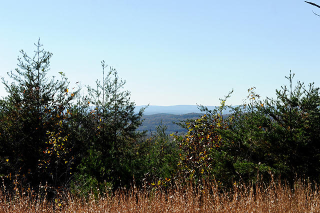 3920 Cottonport Road Decatur, TN 37322 - Photo 49 of 56 DSC_3286