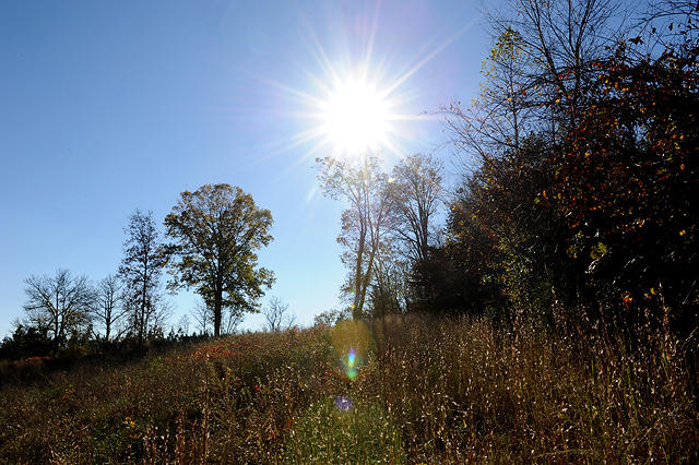 3920 Cottonport Road Decatur, TN 37322 - Photo 50 of 56 DSC_3289