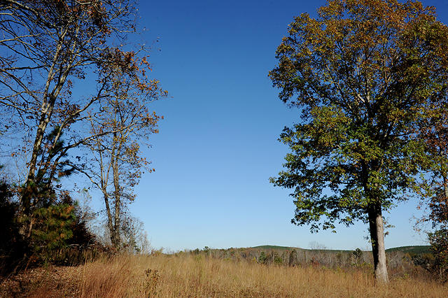 3920 Cottonport Road Decatur, TN 37322 - Photo 51 of 56 DSC_3291