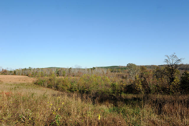 3920 Cottonport Road Decatur, TN 37322 - Photo 52 of 56 DSC_3295