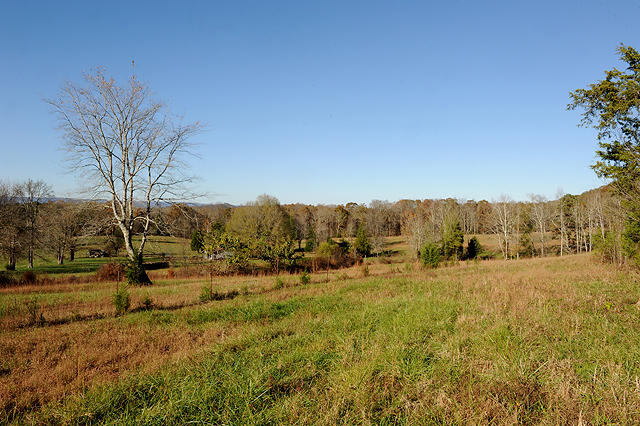 3920 Cottonport Road Decatur, TN 37322 - Photo 53 of 56 DSC_3302