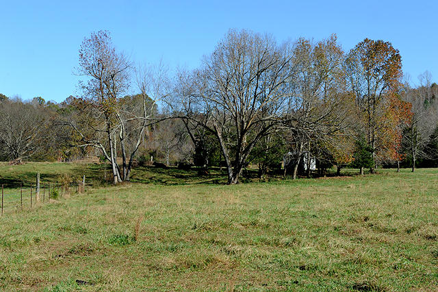 3920 Cottonport Road Decatur, TN 37322 - Photo 7 of 56 DSC_3221