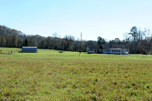 3920 Cottonport Road Decatur, TN 37322 - Photo 10 of 56 DSC_3230