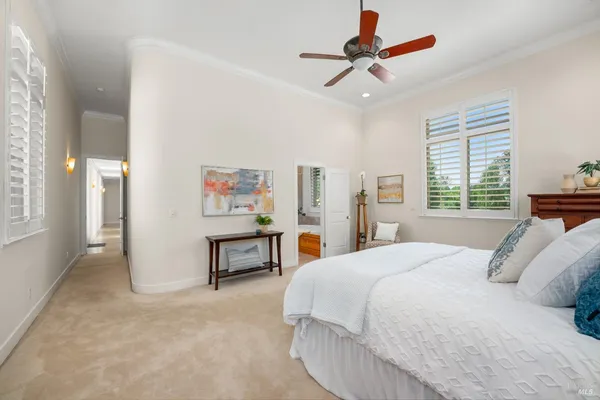 a spacious bedroom with a bed a couch and a potted plant