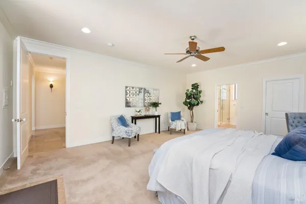 a spacious bedroom with a bed a couch and potted plant