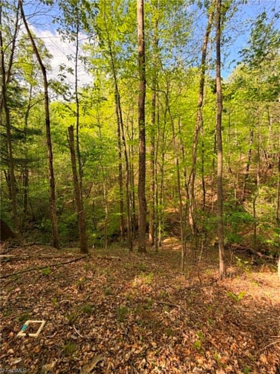 Tbd Shoe Road Millers Creek, NC 28651 - Photo 15 of 18