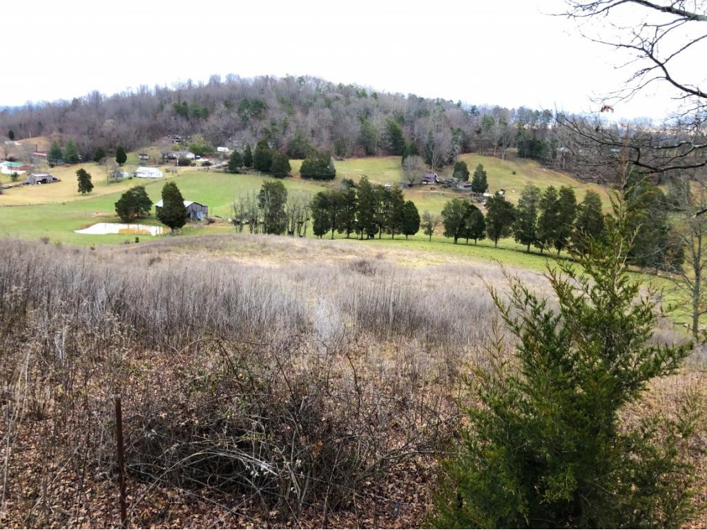 Lot 1 Pinhook Road Rogersville, TN 37857 - Photo 2 of 7 Photo 2