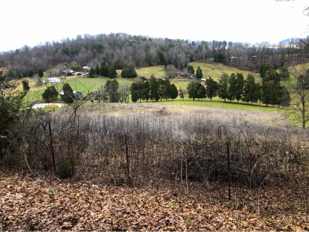 Lot 1 Pinhook Road Rogersville, TN 37857 - Photo 3 of 7 Photo 3