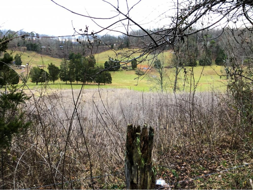 Lot 1 Pinhook Road Rogersville, TN 37857 - Photo 4 of 7 Photo 4