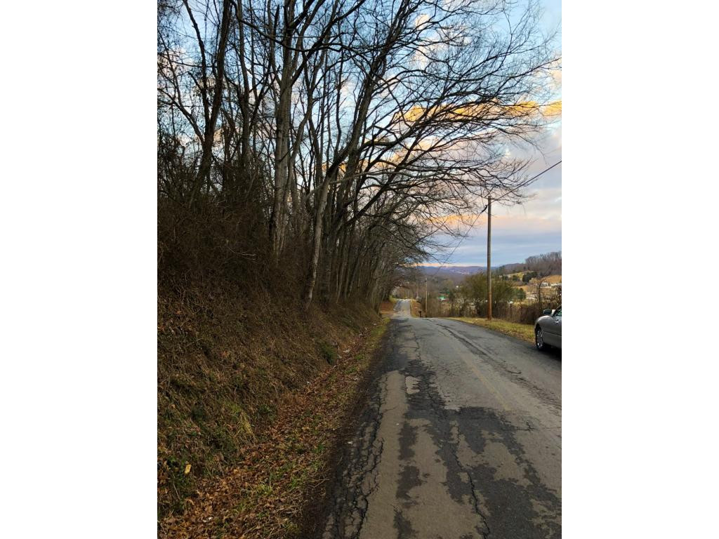 Lot 1 Pinhook Road Rogersville, TN 37857 - Photo 6 of 7 Photo 6