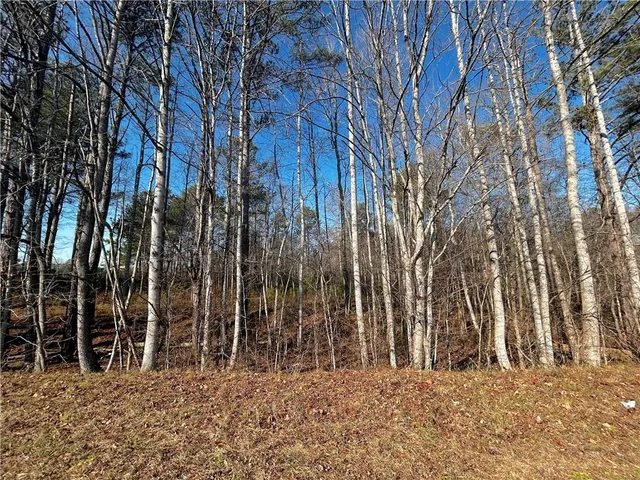 $75,000 | 2013 Lake Paradise Road, Villa Rica, GA 30180