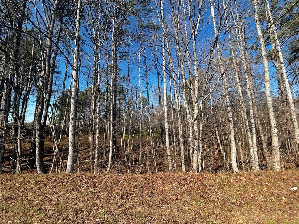 2013 Lake Paradise Road Villa Rica, GA 30180 - Photo 2 of 4