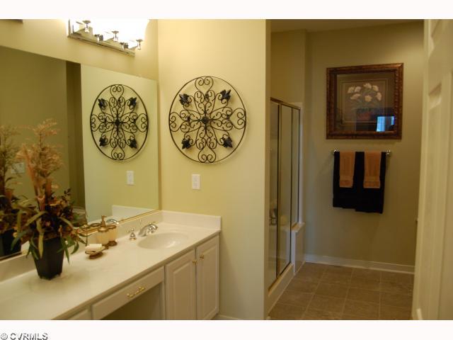 12144 Blossom Point Road, Unit 28D Chester, VA 23831 - Photo 9 of 12 Master Bath