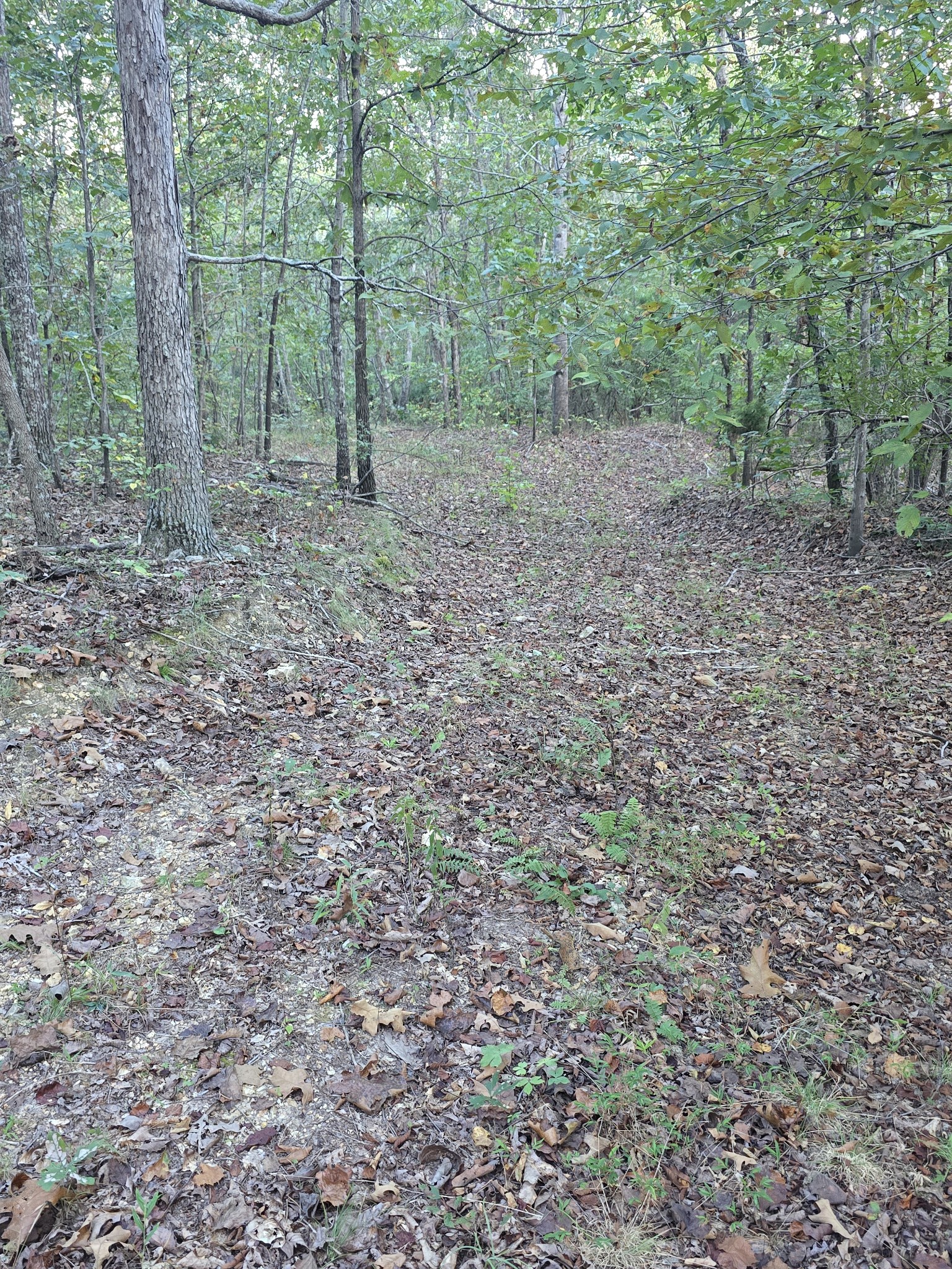 565 Landfill Road Waverly, TN 37185 - Photo 15 of 17 Gallery Image 15