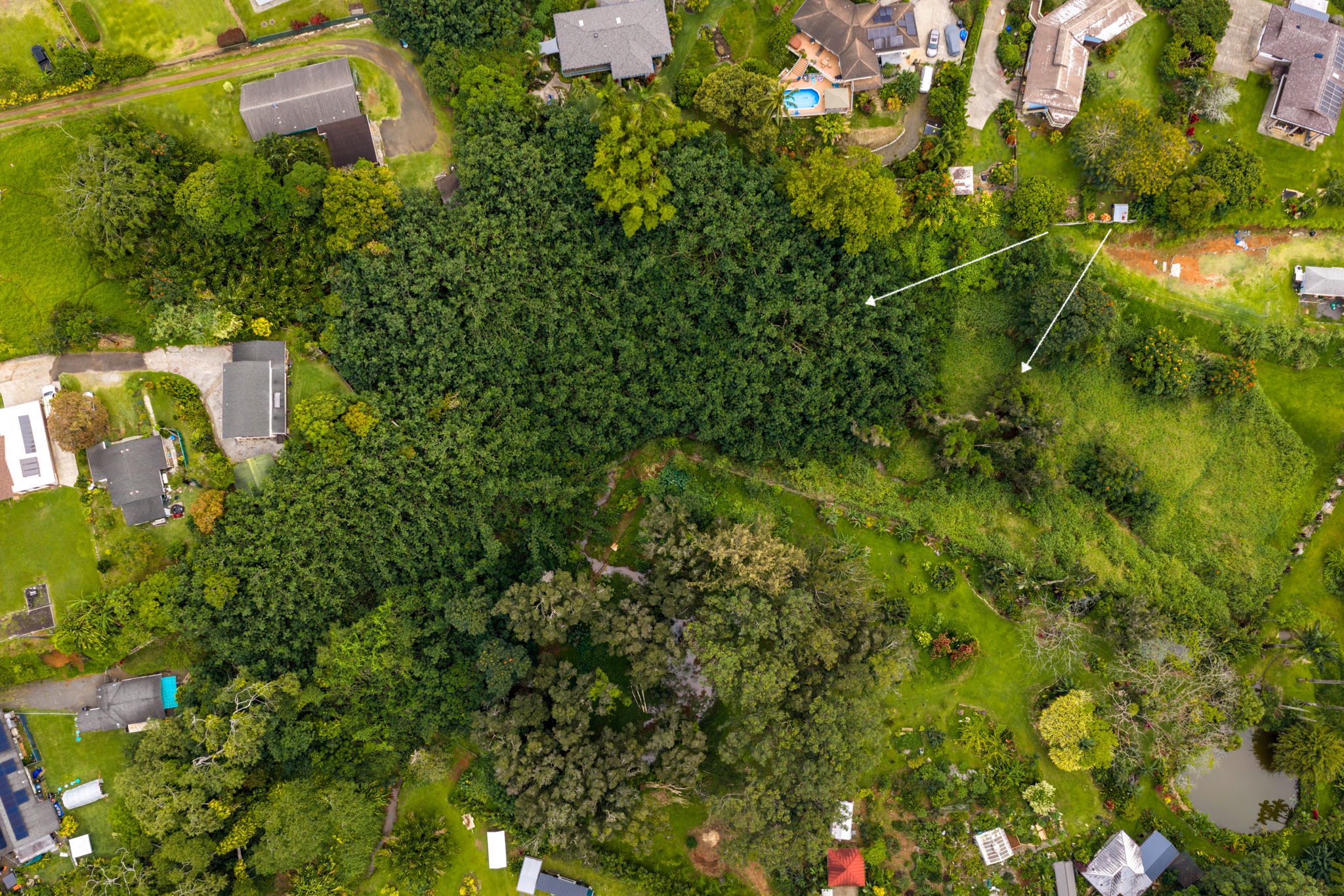 4300 Upa Road, Unit B Koloa, HI 96756 - Photo 2 of 13