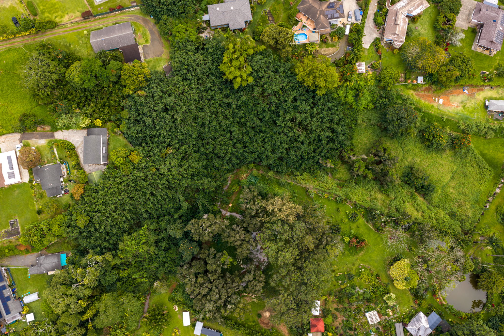 4300 Upa Road, Unit B Koloa, HI 96756 - Photo 5 of 13