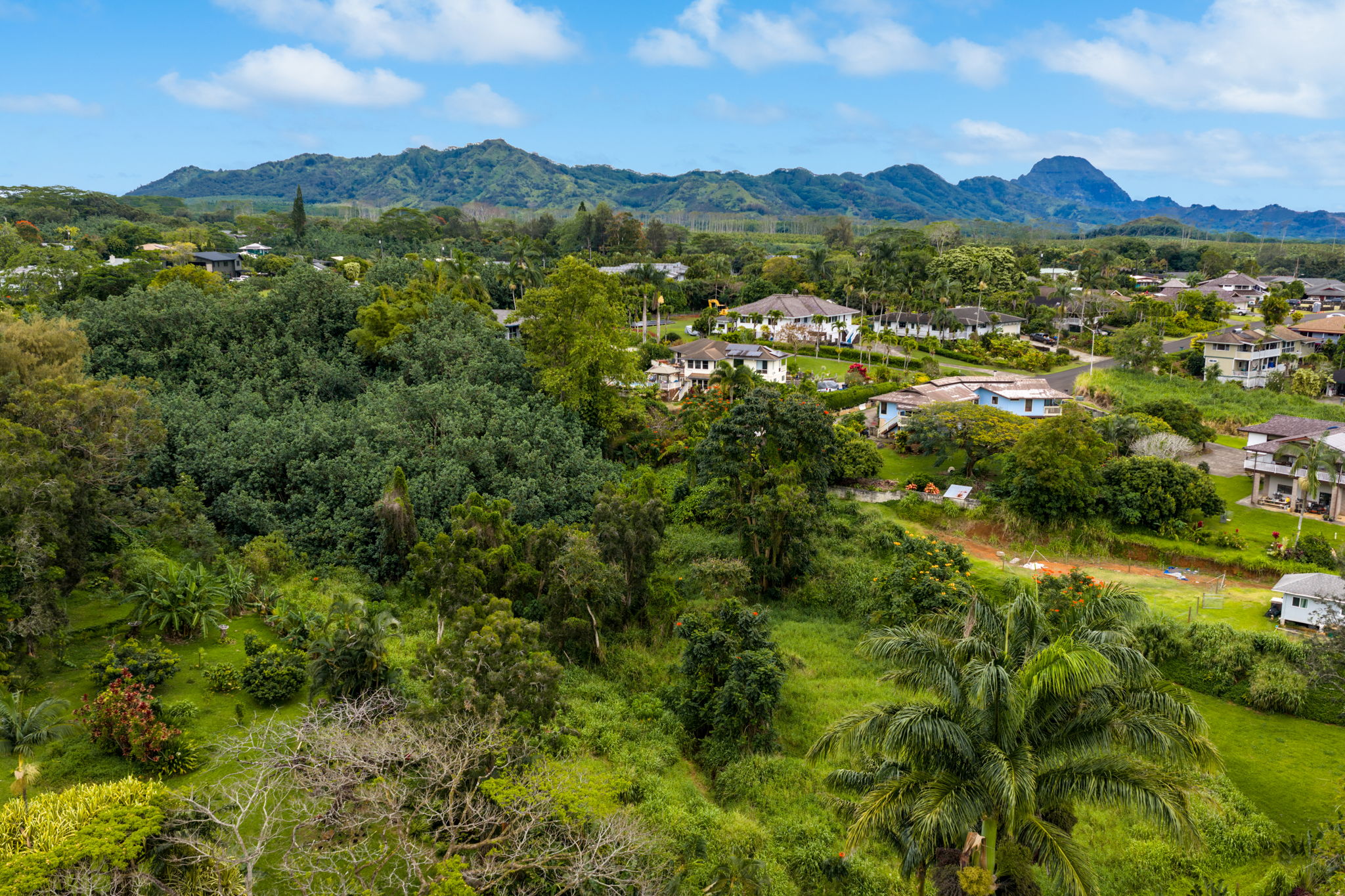 4300 Upa Road, Unit B Koloa, HI 96756 - Photo 7 of 13