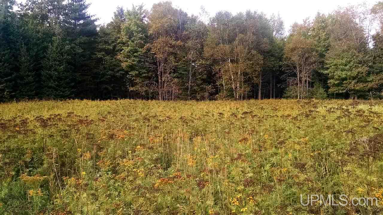 Tbd 51 A Winters Road Trenary, MI 49891 - Photo 5 of 9