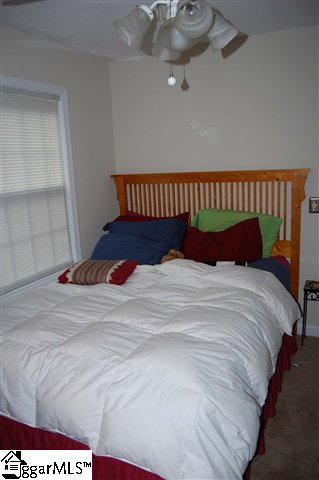 122 Old Hickory Point Greenville, SC 29607 - Photo 16 of 24 Gallery Image 16
