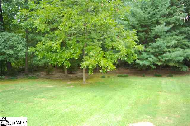 122 Old Hickory Point Greenville, SC 29607 - Photo 20 of 24 Gallery Image 20