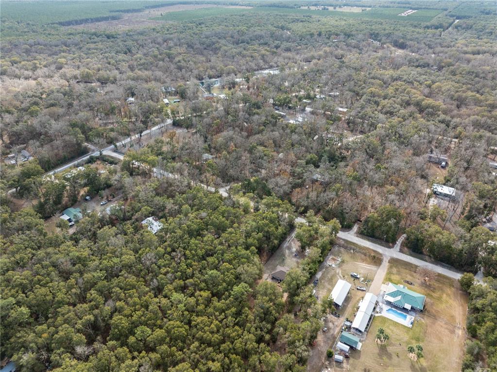 4113 288th Terrace Branford, FL 32008 - Photo 31 of 35 a view of a yard with a house
