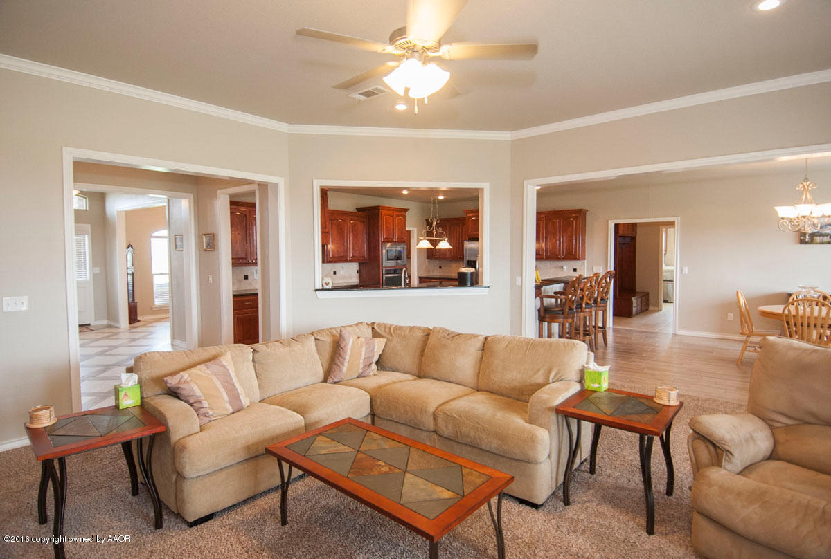1601 Rock Creek Road Amarillo, TX 79124 - Photo 5 of 46 LIVING VIEW 4