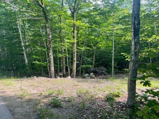 Lot 12-14 Dorr Road Wiscasset, ME 04578 - Photo 5 of 10 dorr4