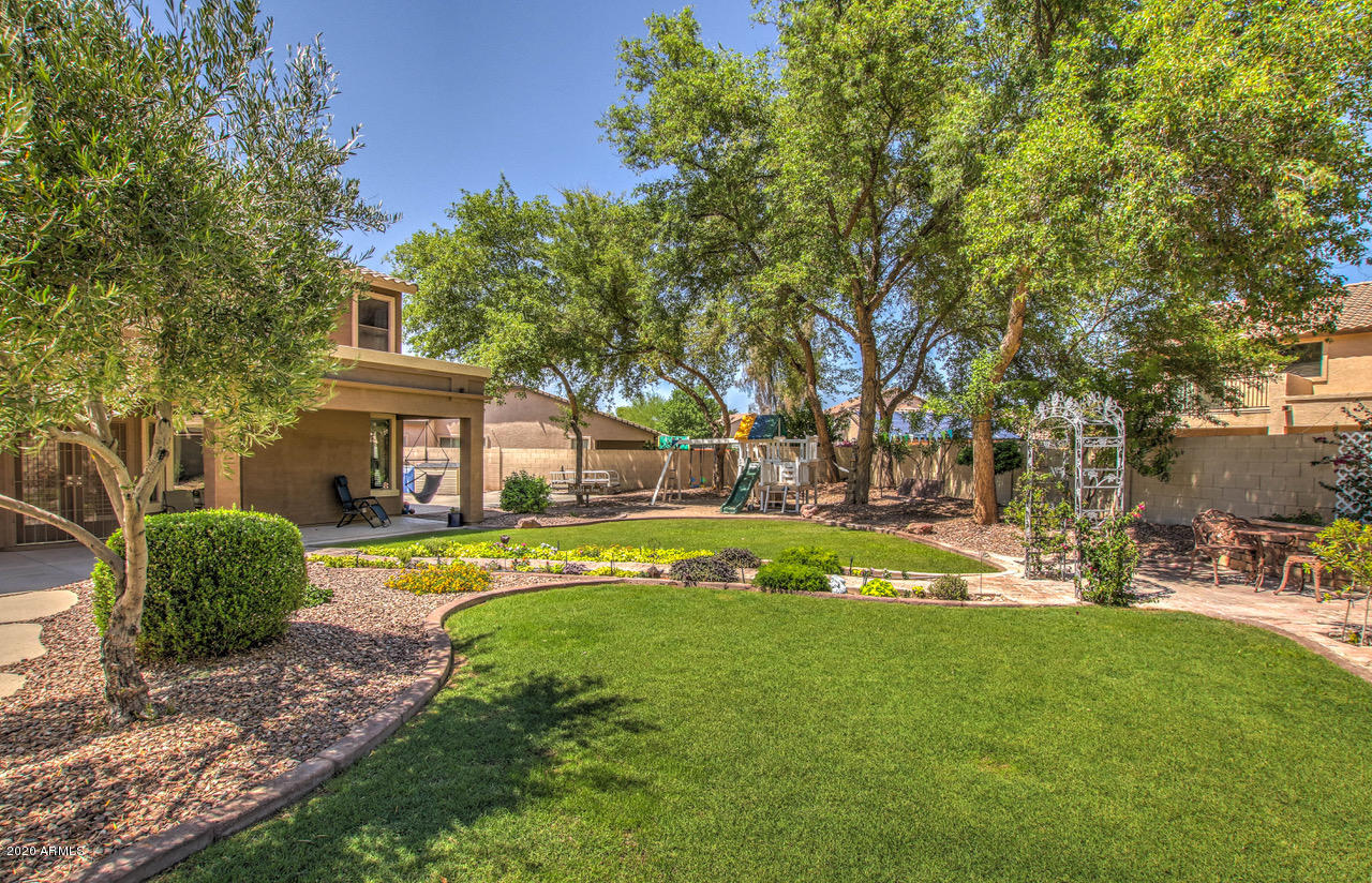 2979 South Martingale Road Gilbert, AZ 85295 - Photo 39 of 52 Backyard Grass - NW