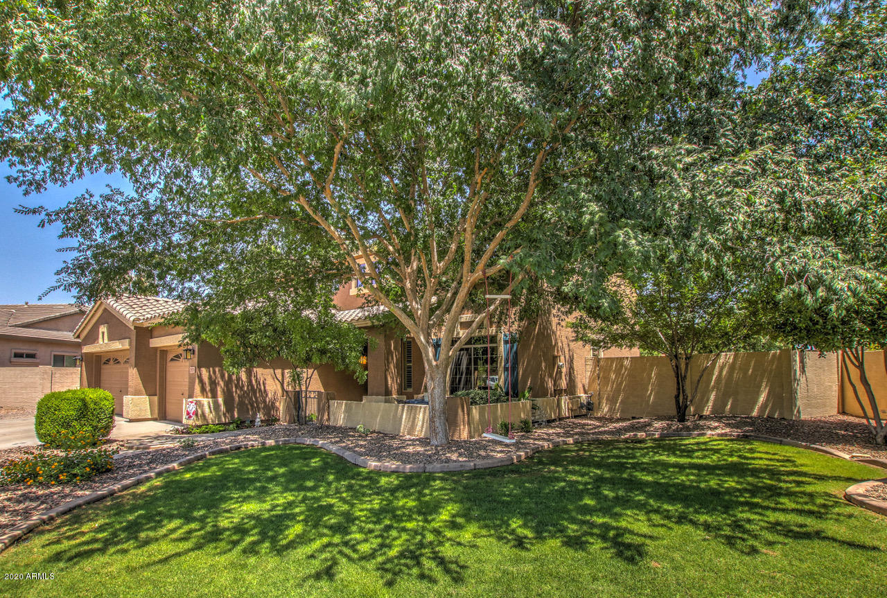 2979 South Martingale Road Gilbert, AZ 85295 - Photo 4 of 52 Front Yard - NE Full