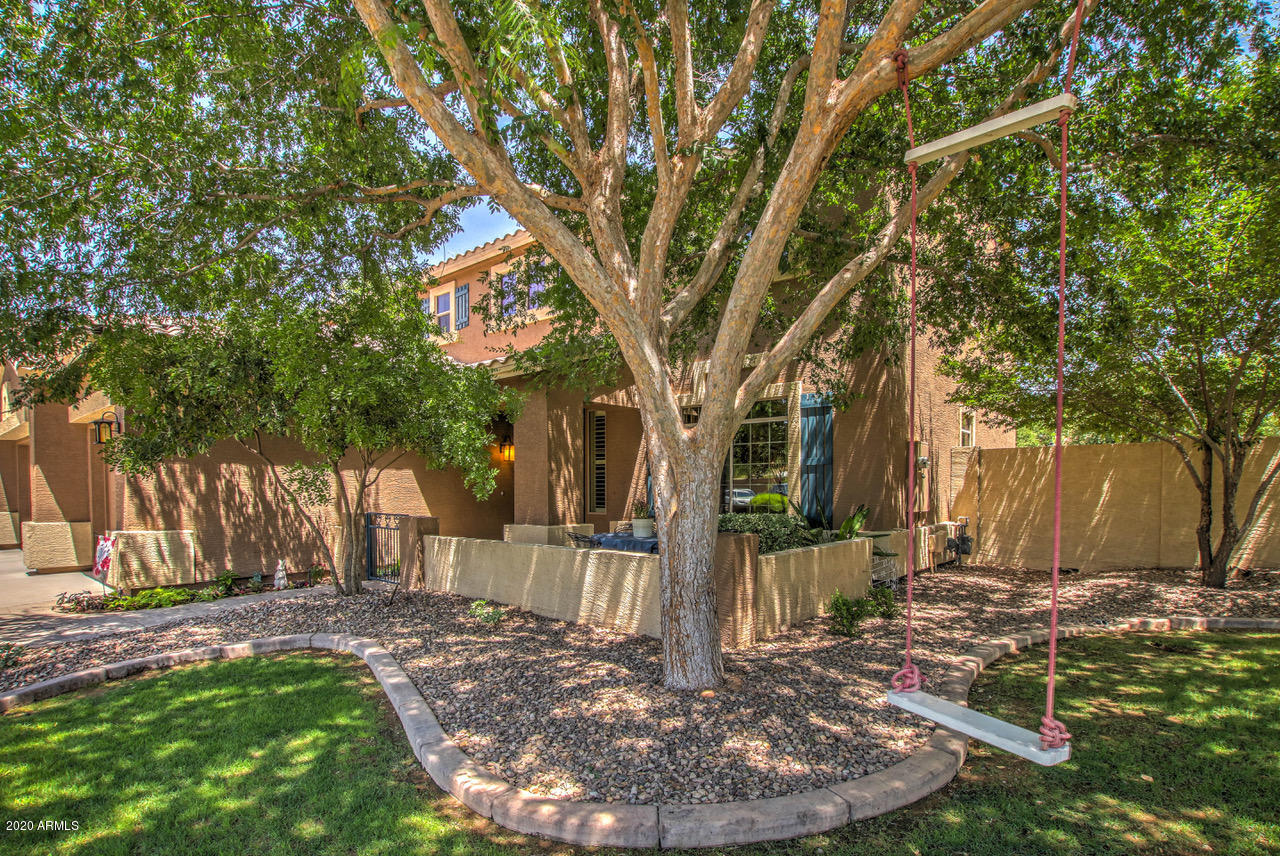 2979 South Martingale Road Gilbert, AZ 85295 - Photo 5 of 52 Front Yard Swing - NE Zoom