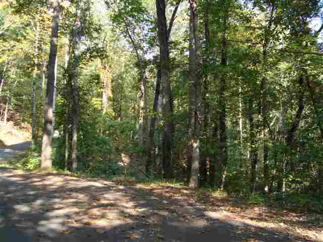 Lot C Fish Pynes Road Pansey, AL 36370 - Photo 1 of 5