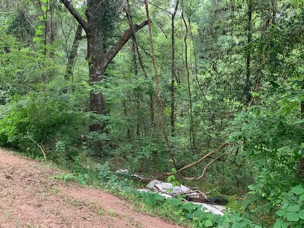 $329,625 | . Fergson Rd/barber Rd/crooked Creek Road, Silver Creek, MS 39663