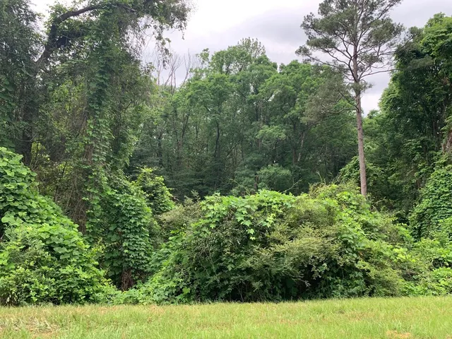 $329,625 | . Fergson Rd/barber Rd/crooked Creek Road, Silver Creek, MS 39663