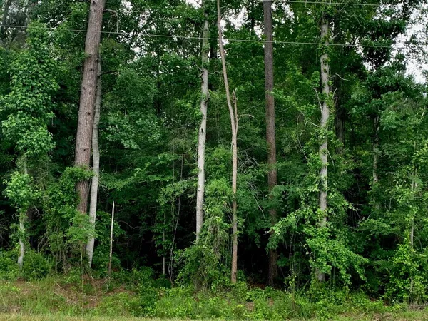 $329,625 | . Fergson Rd/barber Rd/crooked Creek Road, Silver Creek, MS 39663