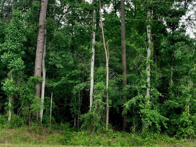 $329,625 | . Fergson Rd/barber Rd/crooked Creek Road, Silver Creek, MS 39663