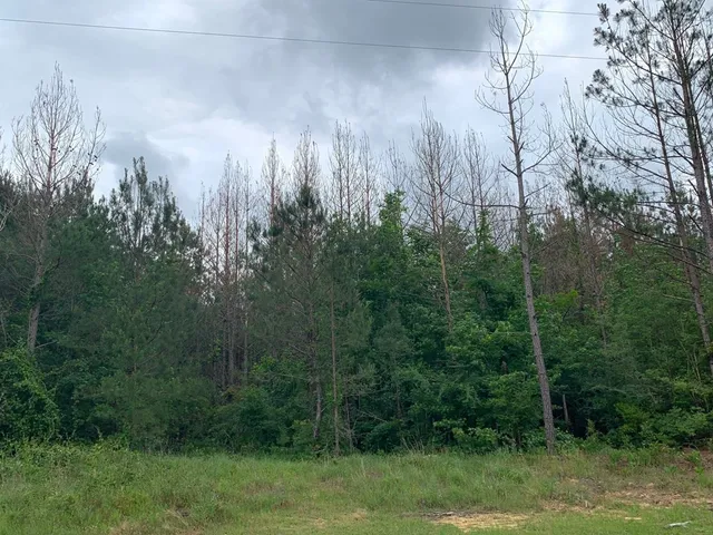 $329,625 | . Fergson Rd/barber Rd/crooked Creek Road, Silver Creek, MS 39663