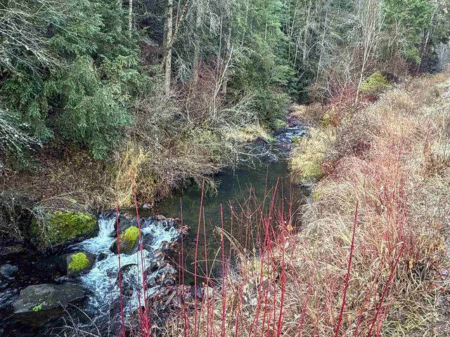 $95,000 | Nka Deer Creek Road, Valley, WA 99181