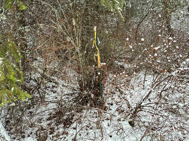 $95,000 | Nka Deer Creek Road, Valley, WA 99181