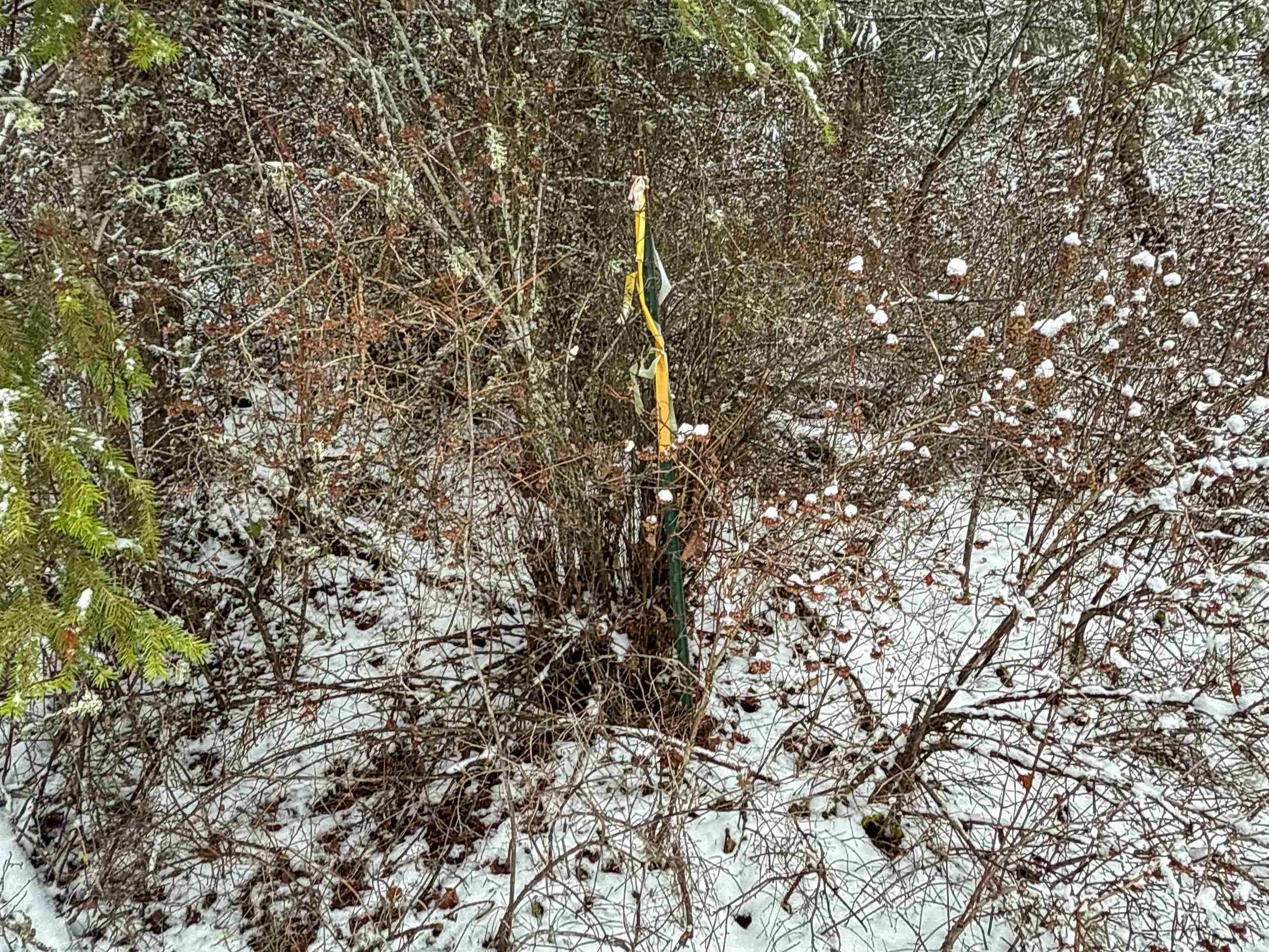 Nka Deer Creek Road Valley, WA 99181 - Photo 12 of 29