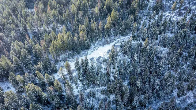 $95,000 | Nka Deer Creek Road, Valley, WA 99181