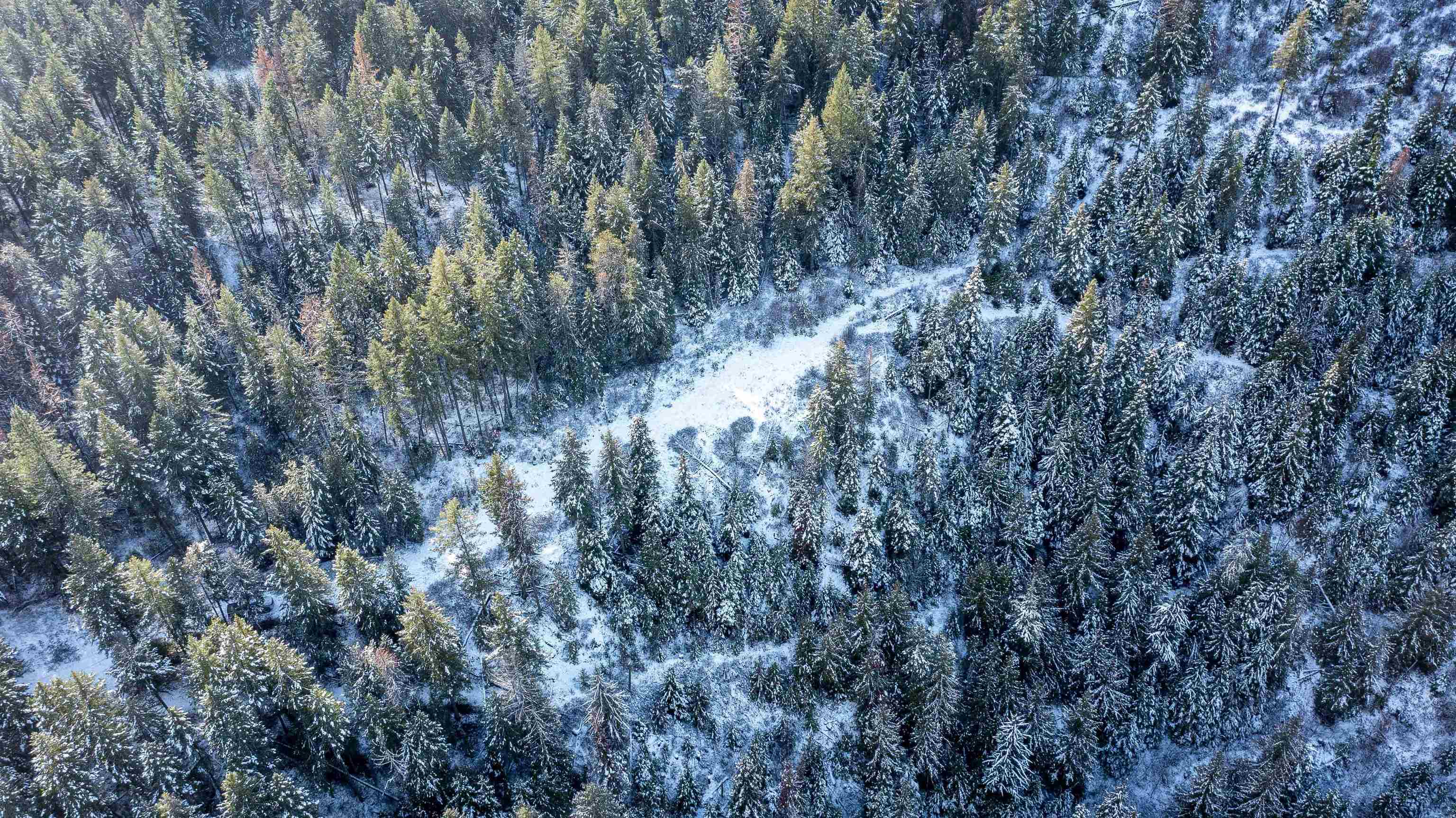 Nka Deer Creek Road Valley, WA 99181 - Photo 18 of 29